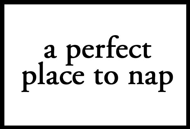 A perfect place to nap